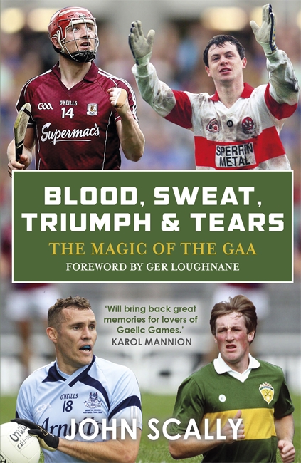 Book cover for Blood, Sweat, Triumph & Tears