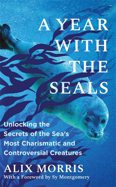 Book cover for A Year with the Seals