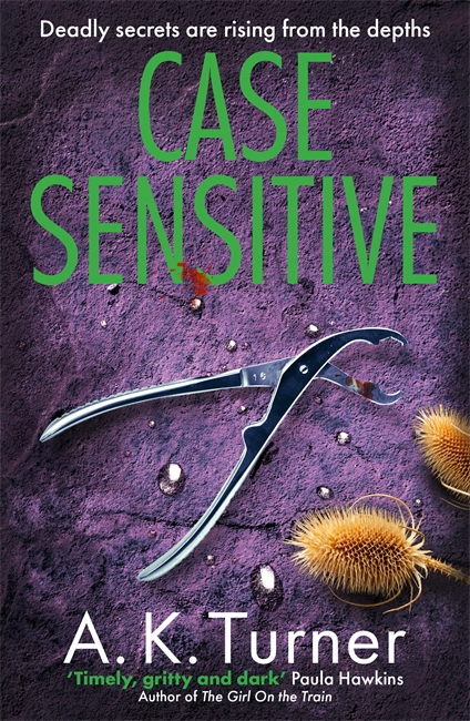 Book cover for Case Sensitive