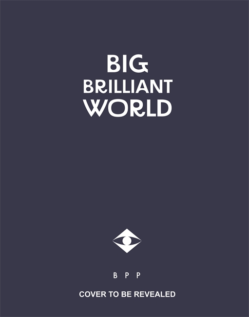 Book cover for Big Brilliant World