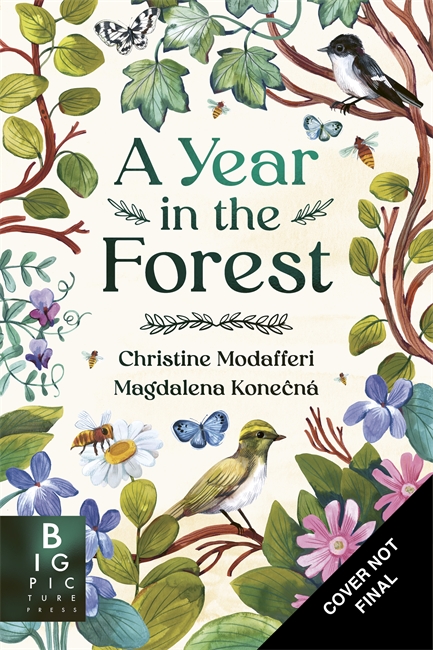 Book cover for A Year in the Forest