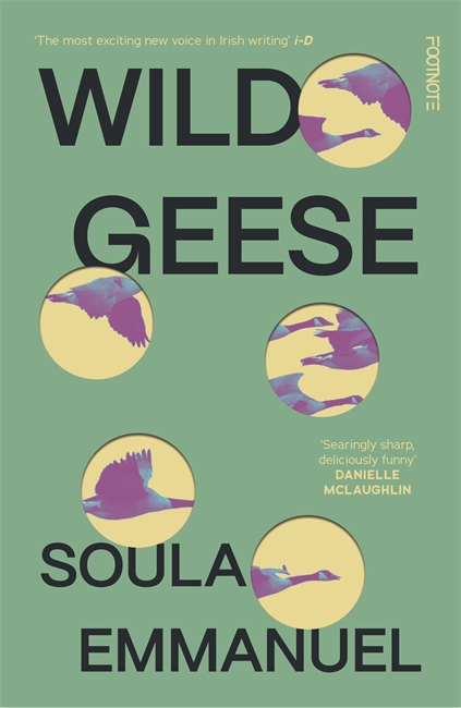 Book cover for Wild Geese