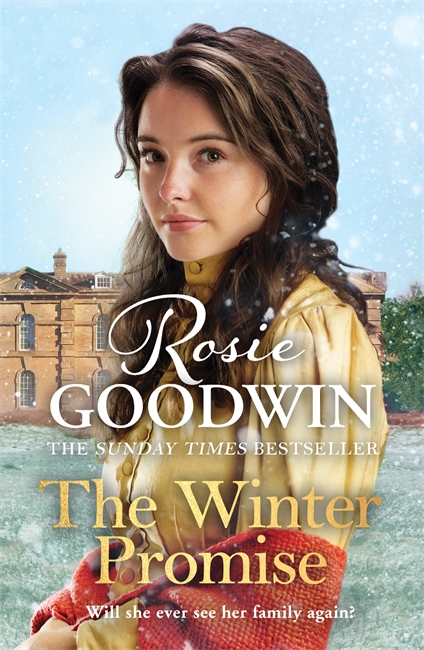 Book cover for The Winter Promise