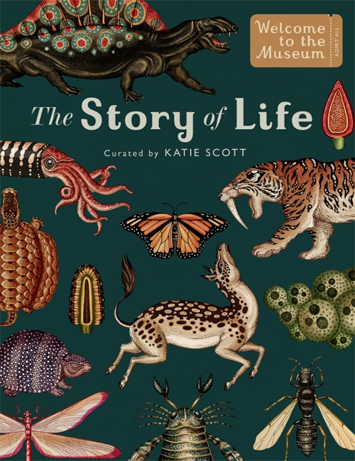 Book cover for The Story of Life: Evolution (Extended Edition)
