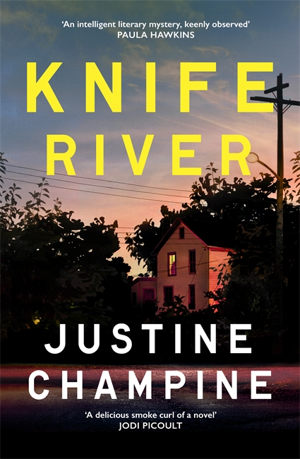 Book cover for Knife River