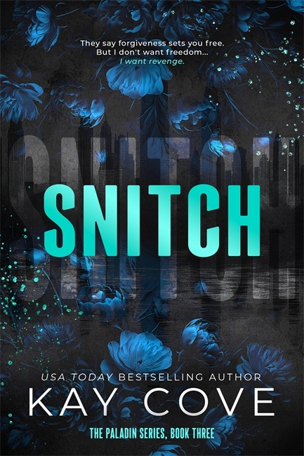 Book cover for Snitch