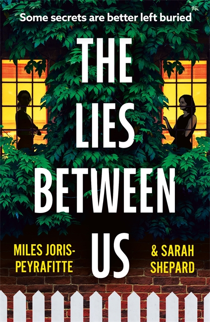 Book cover for The Lies Between Us