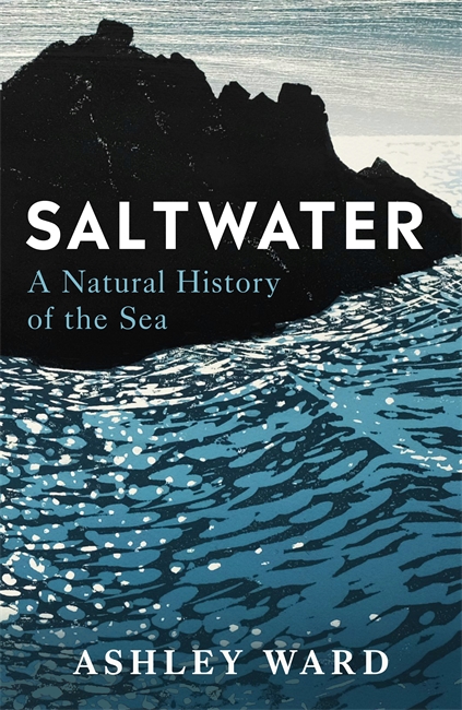 Book cover for Saltwater