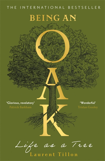 Book cover for Being an Oak