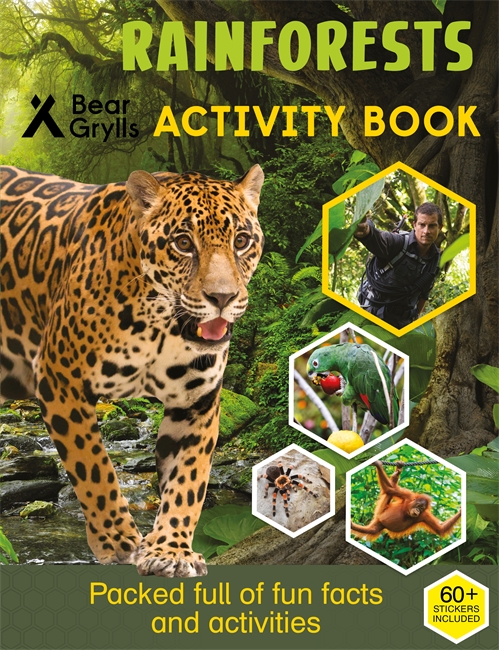 Book cover for Bear Grylls Sticker Activity: Rainforest