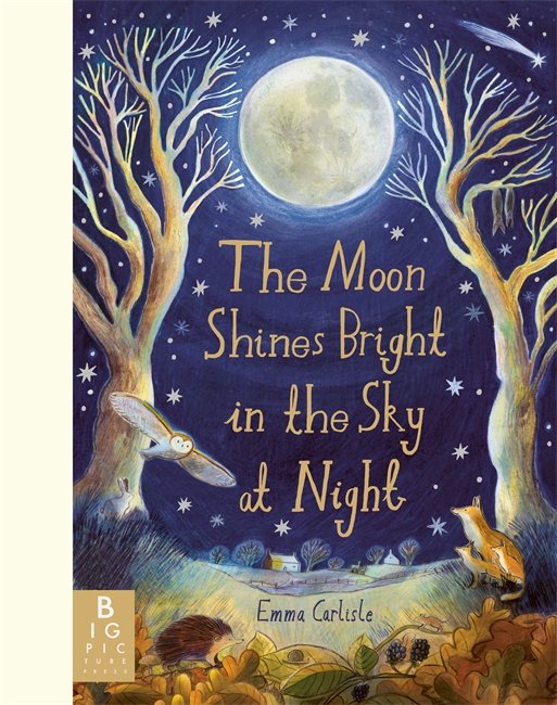 Book cover for The Moon Shines Bright in the Sky at Night