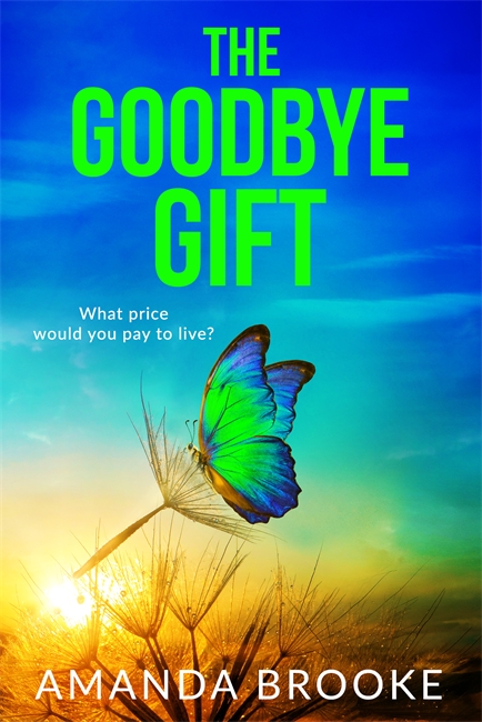 Book cover for The Goodbye Gift