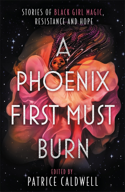 Book cover for A Phoenix First Must Burn