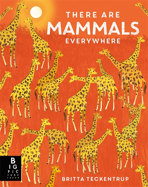 Book cover for There are Mammals Everywhere