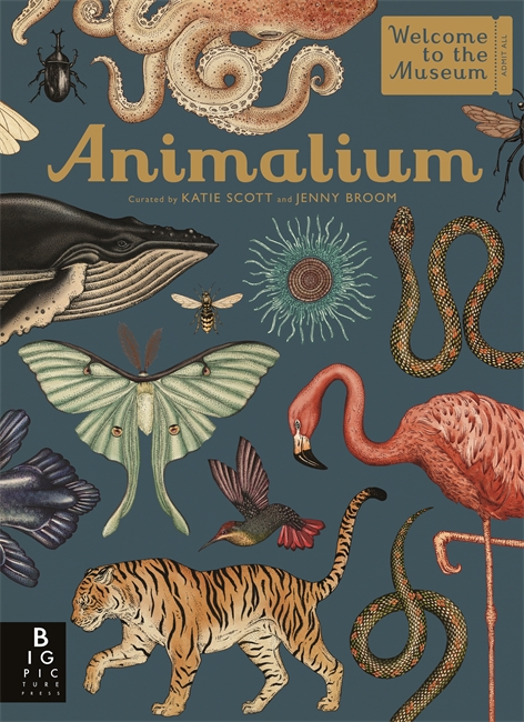 Book cover for Animalium