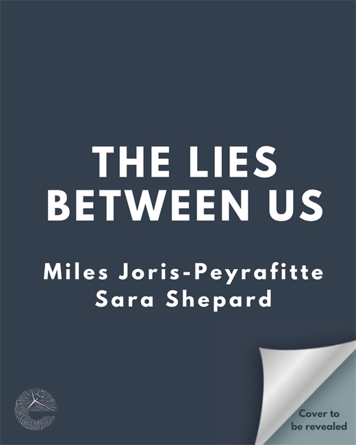 Book cover for The Lies Between Us
