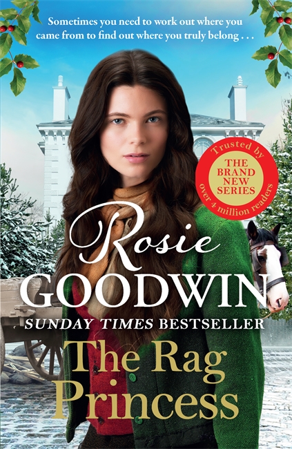 Book cover for The Rag Princess