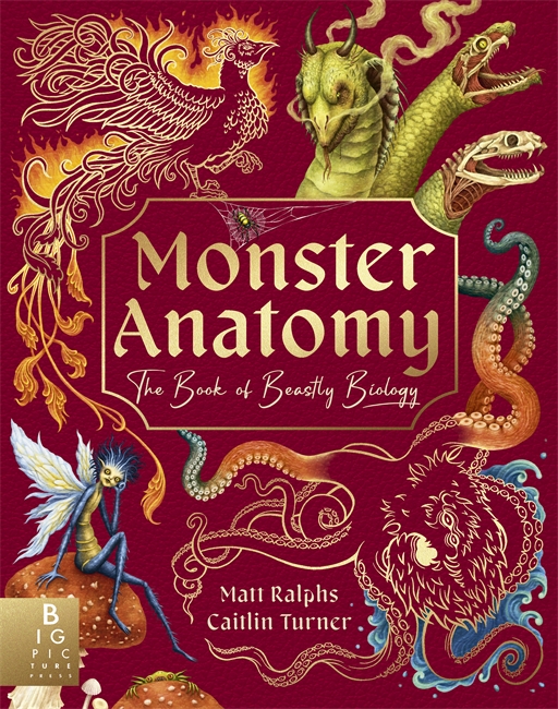 Book cover for Monster Anatomy
