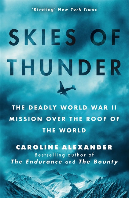 Book cover for Skies of Thunder