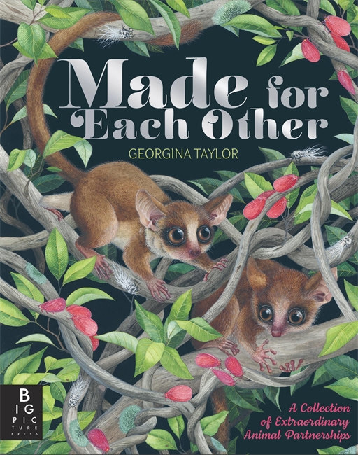 Book cover for Made for Each Other