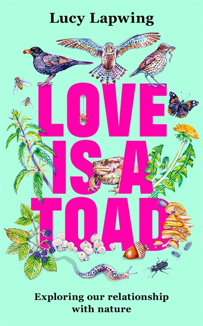 Book cover for Love Is A Toad