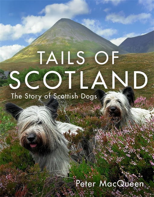 Book cover for Tails of Scotland