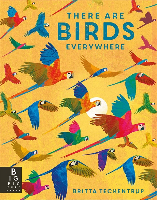 Book cover for There are Birds Everywhere