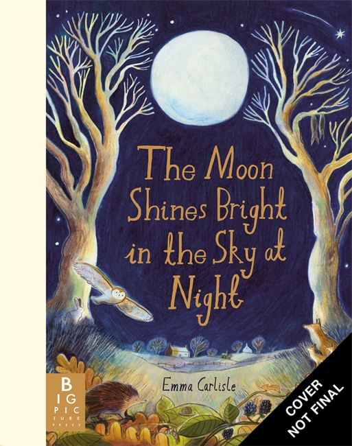 Book cover for The Moon Shines Bright in the Sky at Night