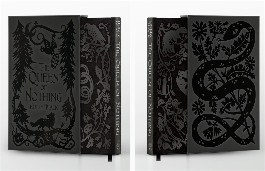 Book cover for The Queen of Nothing (The Folk of the Air #3)