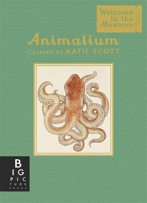 Book cover for Animalium (Mini Gift Edition)