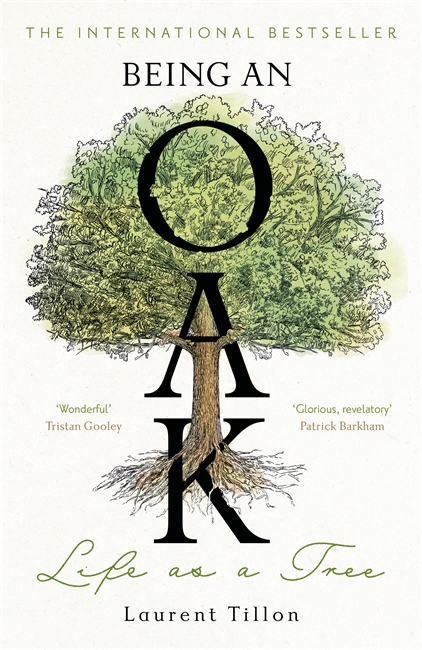 Book cover for Being an Oak