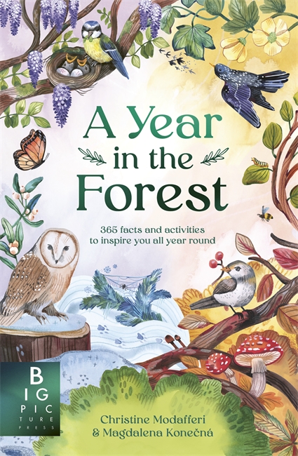 Book cover for A Year in the Forest