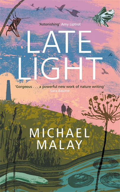 Book cover for Late Light