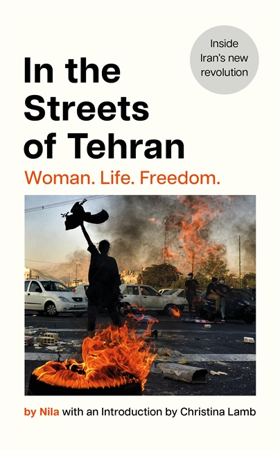 Book cover for In the Streets of Tehran