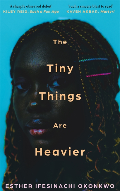 Book cover for The Tiny Things Are Heavier
