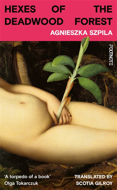 Book cover for Hexes of the Deadwood Forest